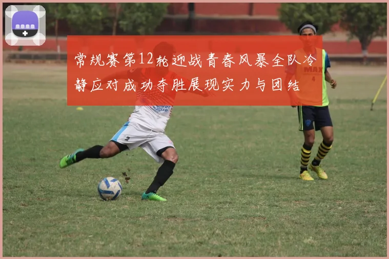 常规赛第12轮迎战青春风暴全队冷静应对成功夺胜展现实力与团结