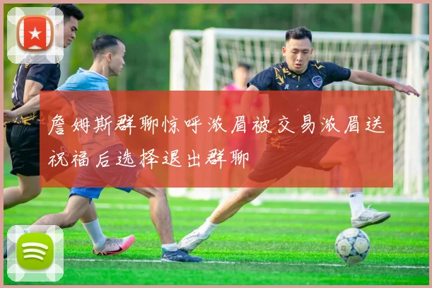 詹姆斯群聊惊呼浓眉被交易浓眉送祝福后选择退出群聊