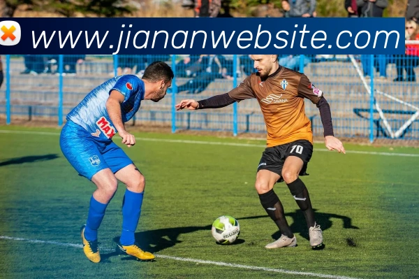 江南体育平台生态图